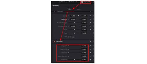 How to Crop Resolution in DaVinci Resolve 的图像结果