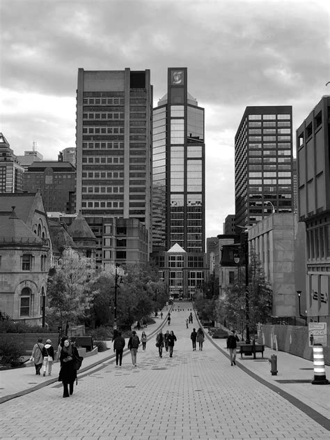 About — Science Undergraduate Society