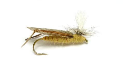 Image result for Tying Parachute Hopper Patterns