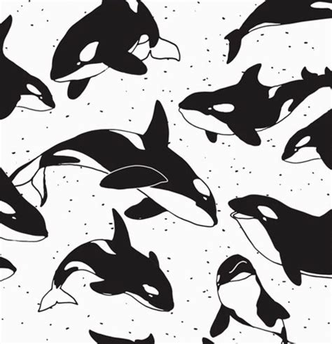 Image result for Orca Pattern