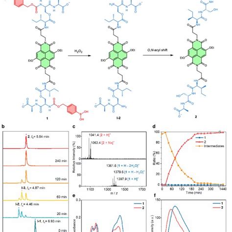H2O2 H2O2 Reaction Type 的图像结果