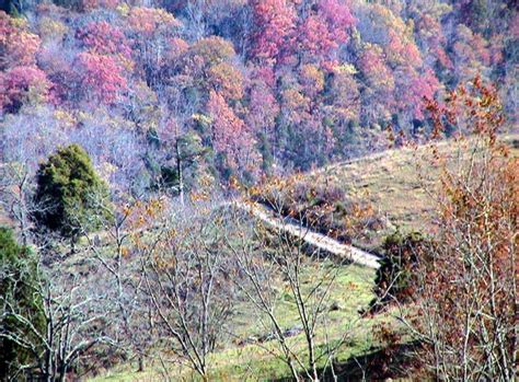 Country Road 的图像结果