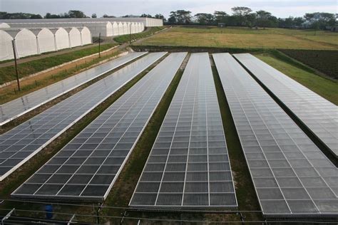 Solar Thermal Energy 的图像结果