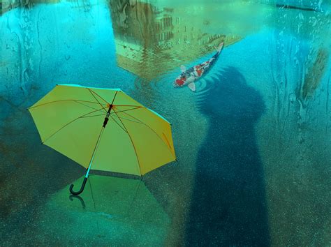 Image result for Water Reflection Spring