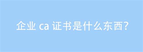 电子认证服务许可证成功换发，上海CA凝心聚力再奋进-新闻动态-上海市法人一证通