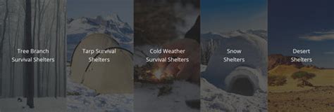 Image result for Different Types of Survival Shelters