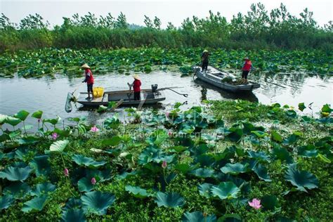 江苏淮安：渔民护河队 守护家乡水-人民图片网