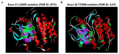 Hybrid Pharmacophore- and Structure-Based Virtual Screening Pipeline to ...