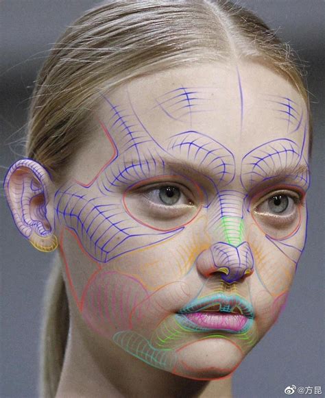 Pin by Carlos Lopez on Referencias | Anatomy for artists, Human anatomy art, Anatomy drawing