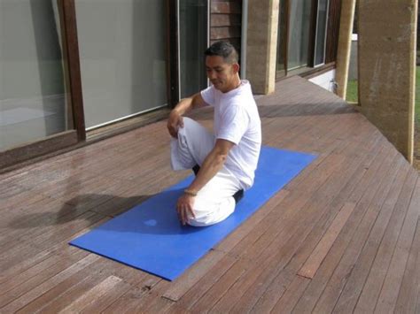 Element Earth Tree 的图像结果