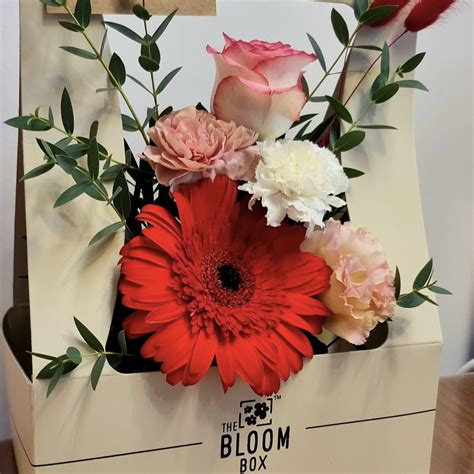 Reviews – The Bloom Box