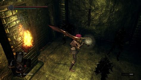 Slideshow: Dark Souls Remastered Seamless Co-Op Mode Images