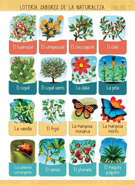 Spanish Language Poster with Plant and Flower Pictures