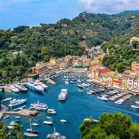 Image result for Nested If Else C++ Example Program