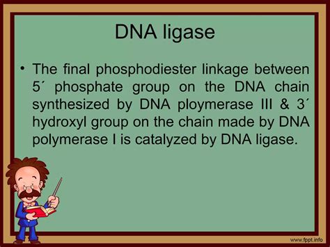 Replication of DNA | PPT