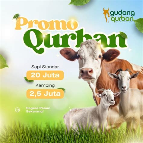penyedia sapi qurban di jakarta - Bangkit In - Catalogue Online