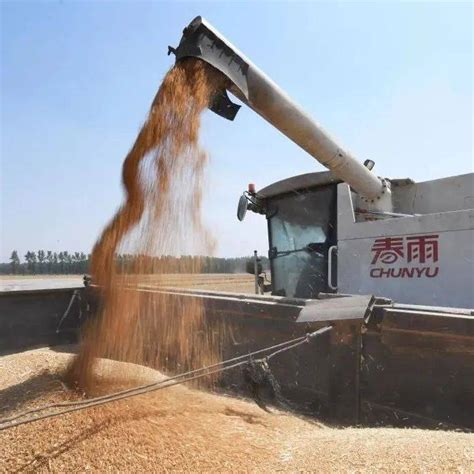 河南农村麦收季，秸秆有专人用神器收，麦秸捆变成金疙瘩了_麦秸_秸秆_专人