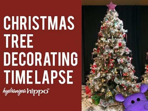 Christmas Tree Time-Lapse 的图像结果