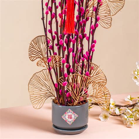 Pussy Willow Chinese New Year Flowers in Pot | Free Delivery | BloomThis
