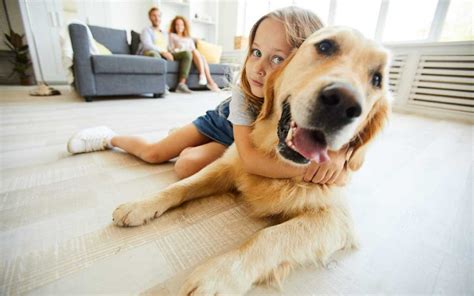 Keeping Pets Safe Around Cleaning Products | Cleaning Services in NH ...