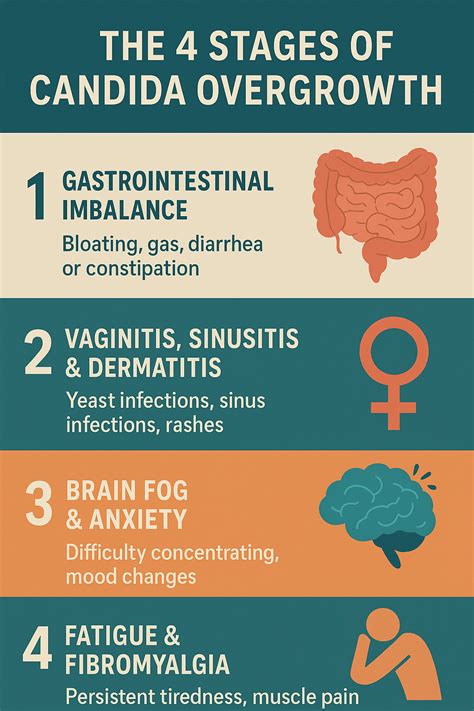 The 4 Stages of Candida Overgrowth: How Are You Affected?