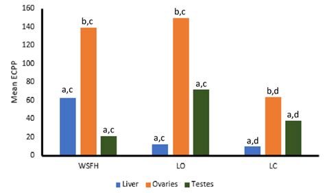 Image result for Ecpp Math