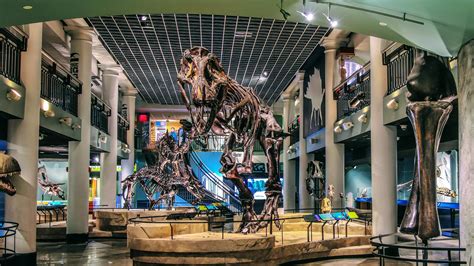 A Guide to The Academy of Natural Sciences | Visit Philadelphia