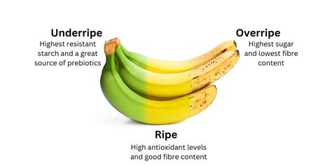 Large Banana Calories Are Bananas Good For Weight Loss? What To Know