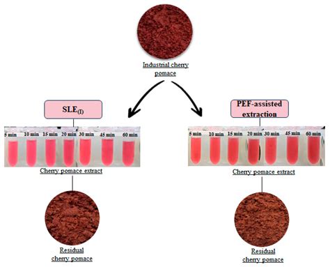 Sustainable Valorization of Industrial Cherry Pomace: A Novel Cascade ...