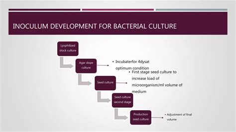 Inoculum development.pptx