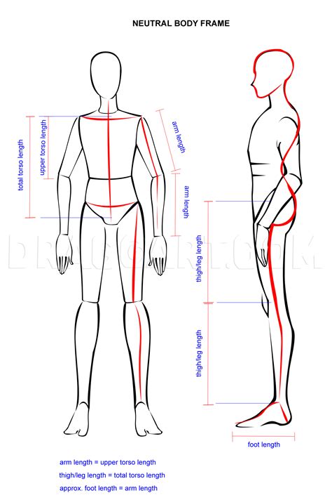 How to Draw Humans Easy 的图像结果