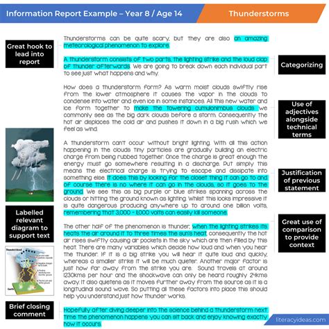 Image result for Information Report Structure