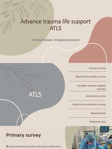 Advanced Trauma Life Support Algorithm 的图像结果