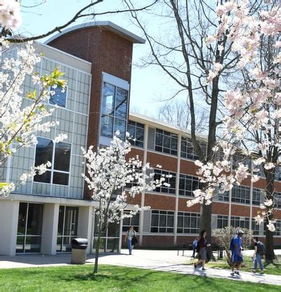 Thakur Institute of International Studies: Study Abroad Programs ...