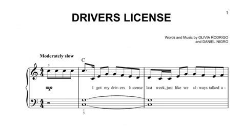 Image result for Drivers License Backing Track