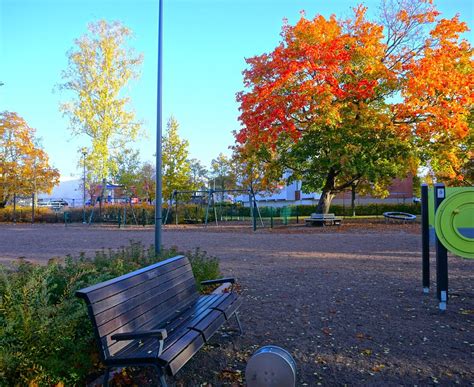 JAAKONPUISTO - All You SHOULD Know Before Going 2026 (with Photos ...