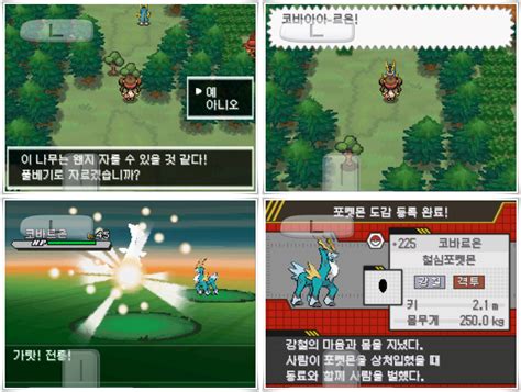 Pokémon Black 2 & White 2 Walkthrough Part 7: To Opelucid City ...