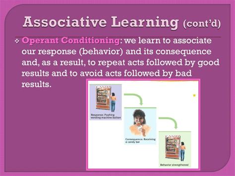 Image result for Associative Learning Examples