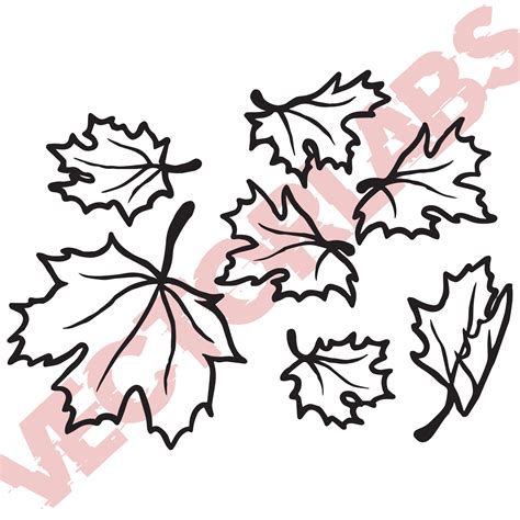 Fall Leaves Outline