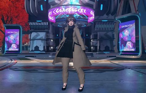 Image result for PSO2 NGS Long Hair