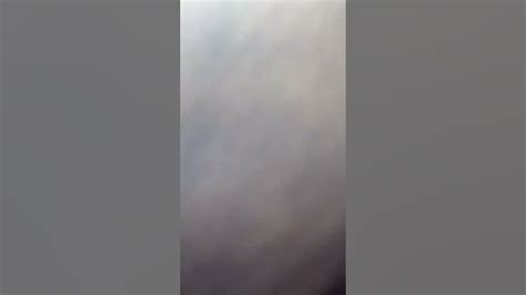 Rezultat imagine pentru Tummy Digesting