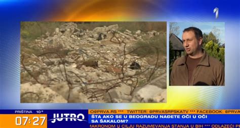 Ovo je najopasnija najezda do sada: Nakon bubamara i lisica Beograđani ...