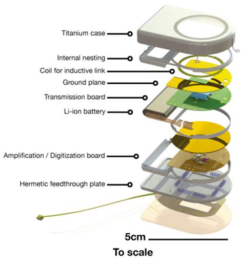 Wireless Brain Computer Interface 的图像结果