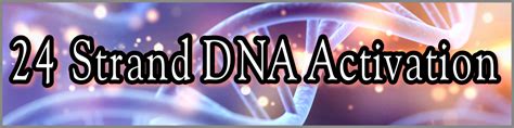 DNA Activation Code 的图像结果