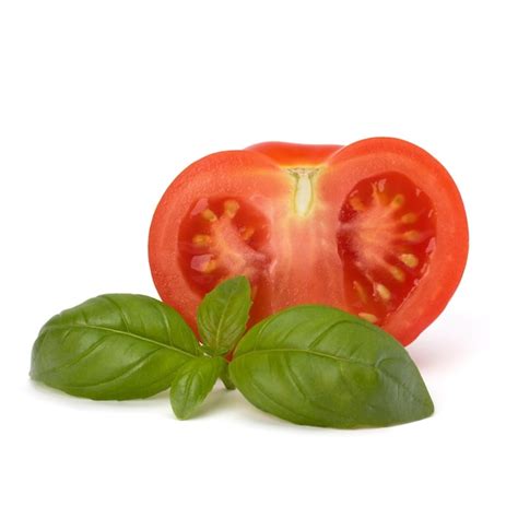 Tomato and basil leaf | Premium Photo