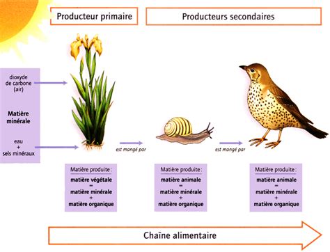 Image result for Programme SVT 6Eme