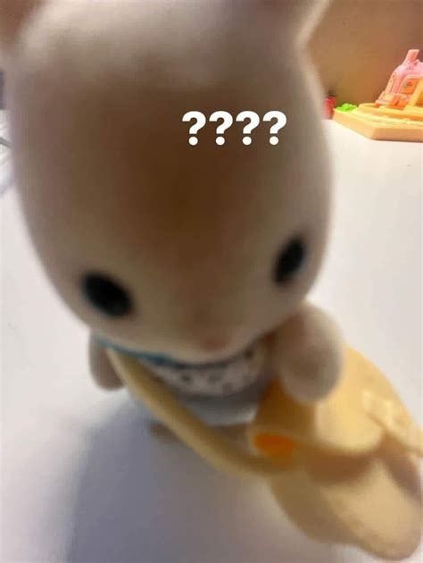 ternurin | Imágenes divertidas, Imágenes graciosas, Imágenes humorísticas