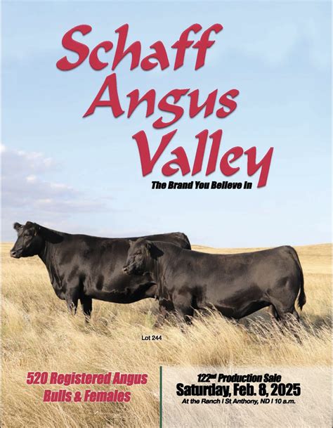 Schaff Angus Valley | 122nd Production Sale | The Pulse