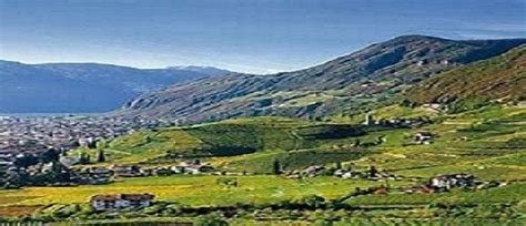 AWS JANUARY MEETING - All Wines Alpine, Seed to Tail Kitchen & Market ...