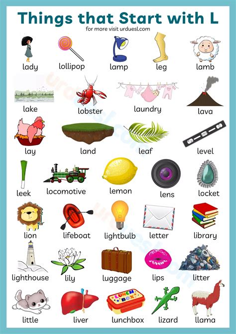 Household Items that Start with L – Easy Things with Letter L ...